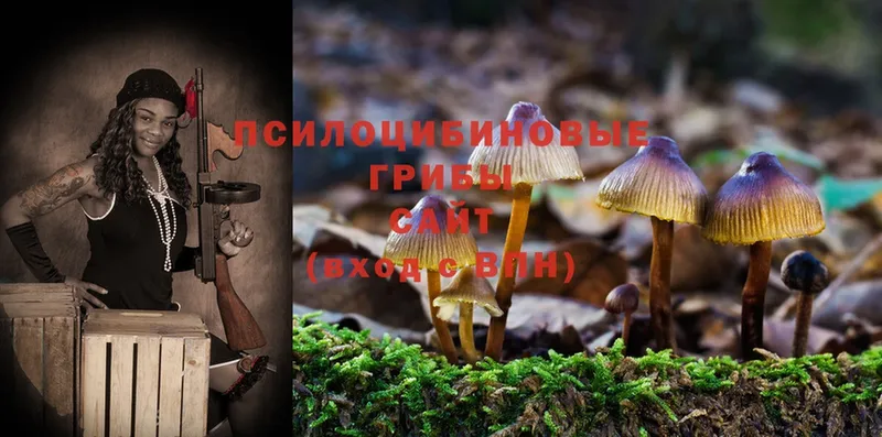 Псилоцибиновые грибы Magic Shrooms  Каргополь 